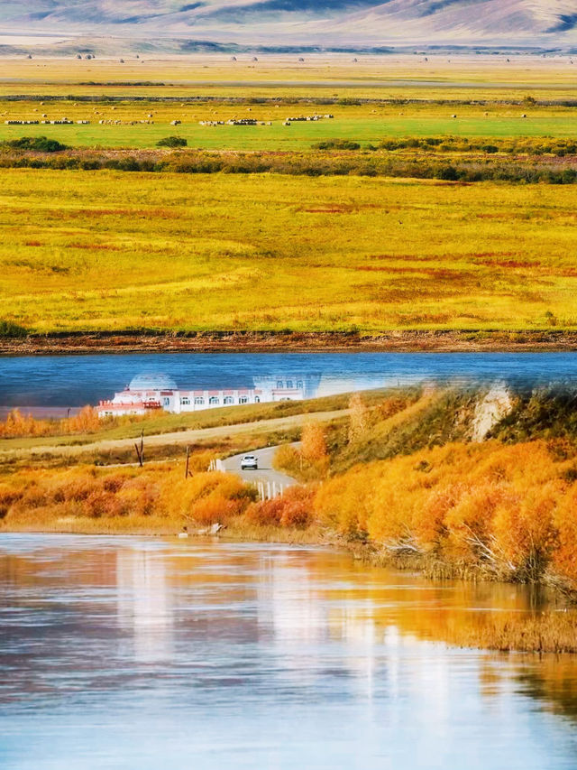 大興安嶺森林探秘