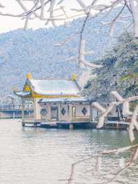 廬山的第一場霧淞好美！！