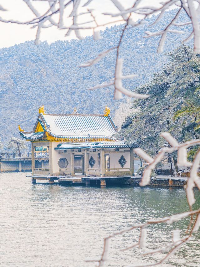 廬山的第一場霧淞好美！！