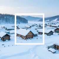 來一場說走就走的森林之旅吧