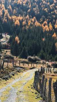 川西過週末超詳細攻略