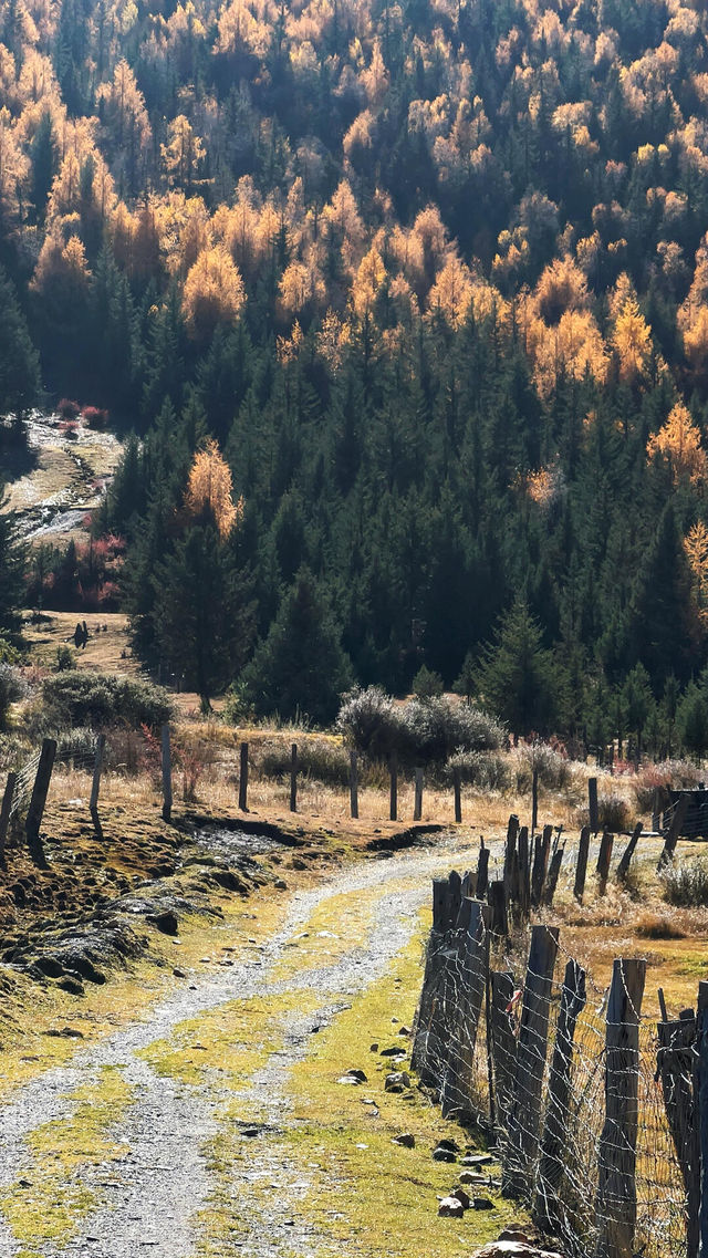 川西過週末超詳細攻略