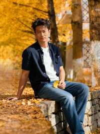 帽峰秋語：在金色秘境治癒心靈