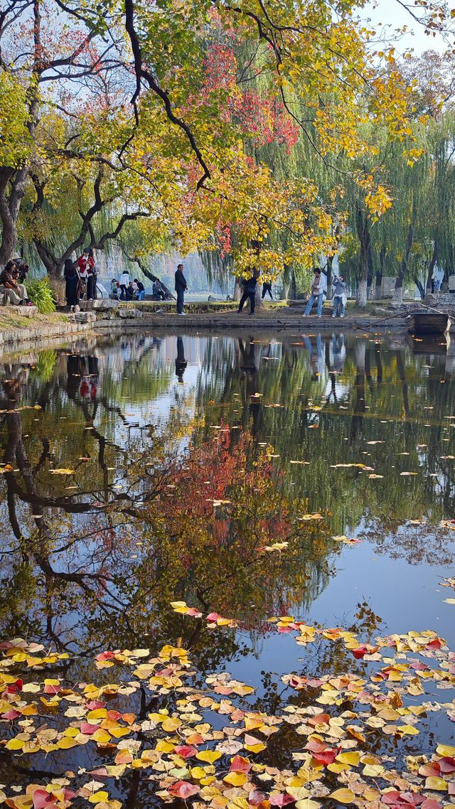 這個秋天一定要嚟莫愁湖！