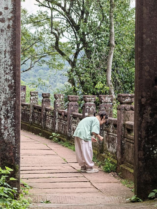 探秘齊雲山絕壁仙境