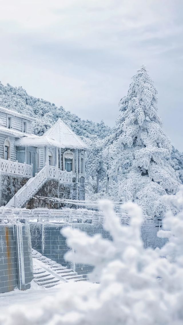 廬山冬日仙境｜必拍如琴湖的唯美雪景