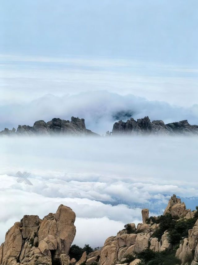 山海仙境崂山，包車自在暢遊