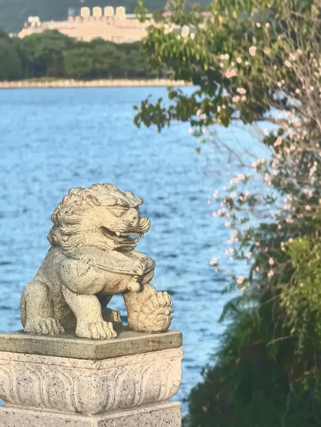 INFJ|半城煙火 INFJ|半城煙火