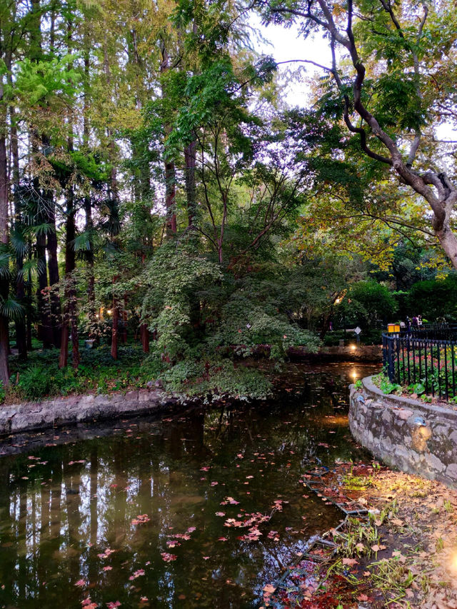 上海·秋冬銜接的中山公園 上海·秋冬銜接的中山公園