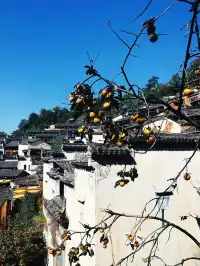 南京出發｜48小時逃離城市計劃第1站婺源