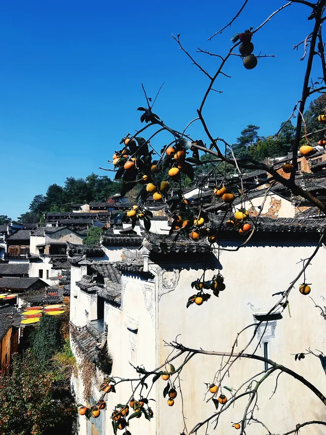 南京出發｜48小時逃離城市計劃第1站婺源