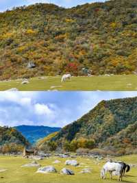 漢中2日遊秋天這樣玩才過癮