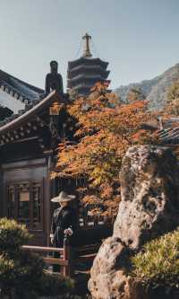 接下來的韶關,將是上帝打翻的調色盤!