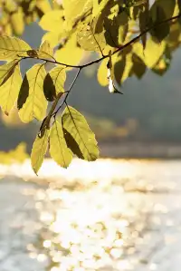 千島湖冬日色卡|高級感直接拉滿,太出片!