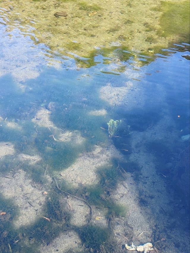 Autumnal Scenery of Fengwei Village