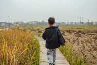 【冬日親子首選】住進現實版童話屋｜壁爐溫泉×農場體驗，解鎖治