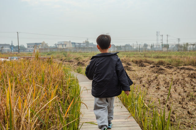 【冬日親子首選】住進現實版童話屋｜壁爐溫泉×農場體驗，解鎖治