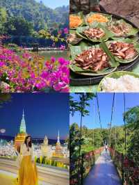 冬天來昆明等地真的不虛此行