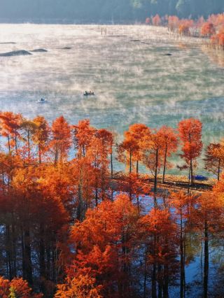 窓を開けると目に飛び込むのは、赤い森の秘境、皖南チベットラインの冬の神話