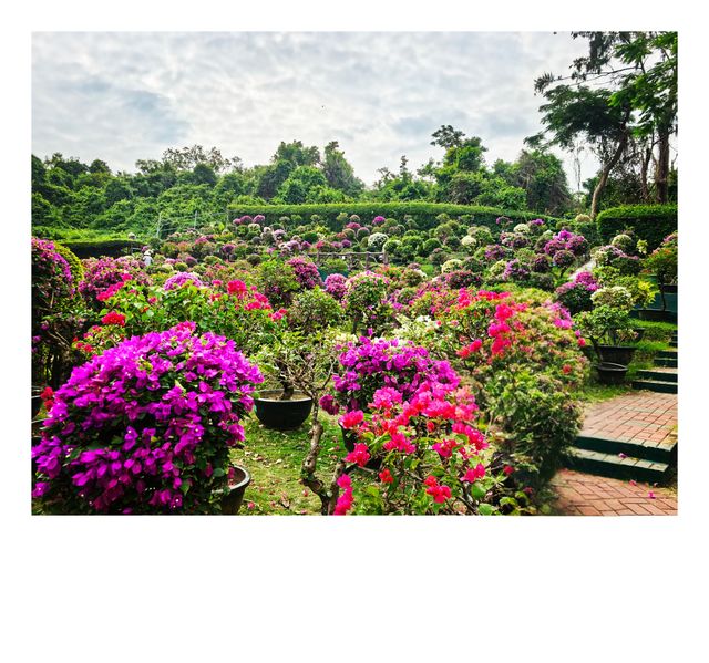 沉醉在蜈支洲島的藍色浪漫裡 沉醉在蜈支洲島的藍色浪漫裡