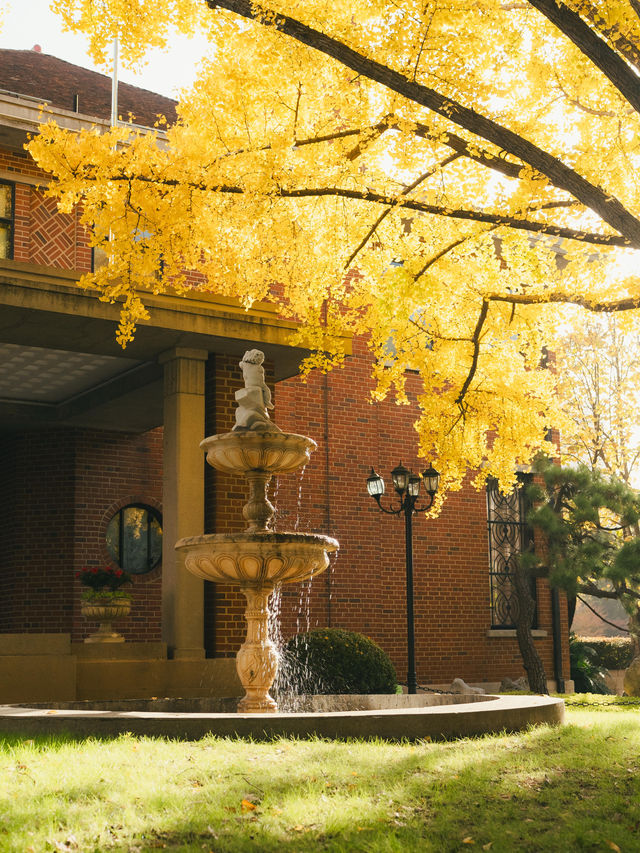 清晨8點,我拍到了樹的呼吸聲! 清晨8點,我拍到了樹的呼吸聲!
