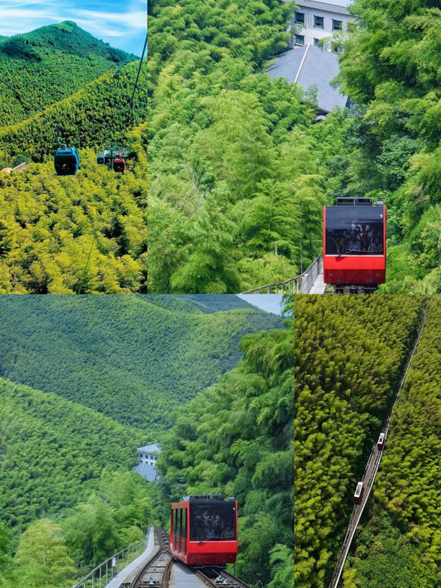 一半是湖水,一半是竹海,溧陽的美,超出你想像! 一半是湖水,一半是竹海,溧陽的美,超出你想像!