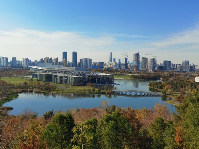 魔都秋色打卡 魔都秋色打卡