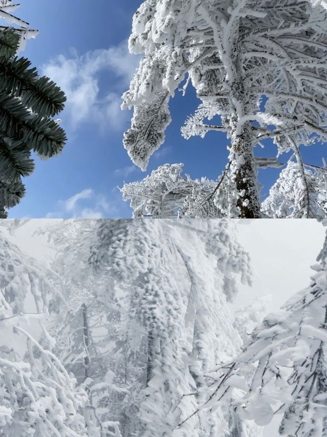 踏雪而上,赴轎子雪山的白頭之約 踏雪而上,赴轎子雪山的白頭之約
