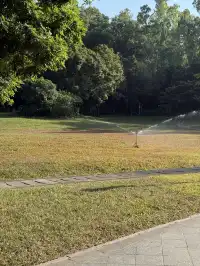 深圳的秋天 請來蓮花山公園大口吸氧吧