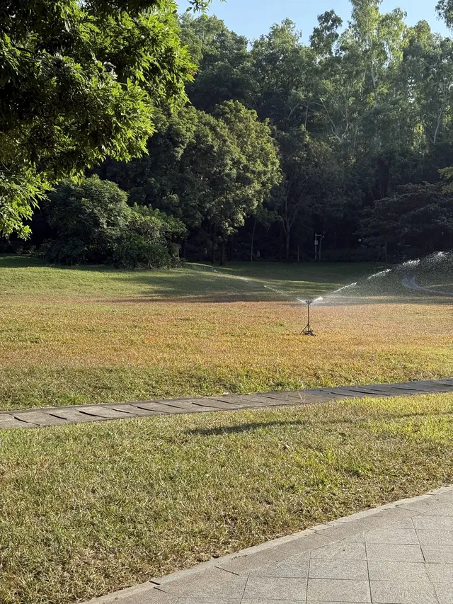 深圳的秋天 請來蓮花山公園大口吸氧吧