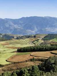 冬天沒計劃快來紅河等地治癒系旅行正當時