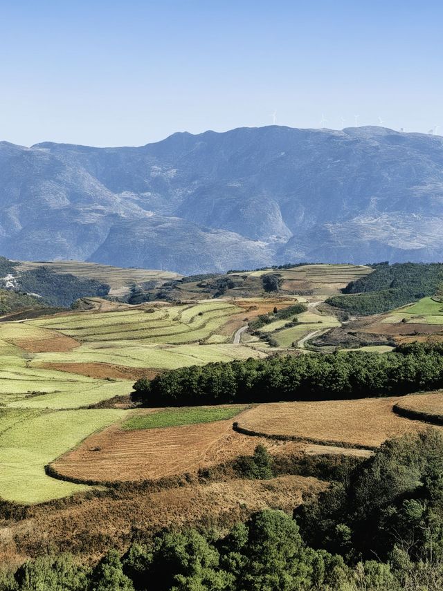 冬天沒計劃快來紅河等地治癒系旅行正當時 冬天沒計劃快來紅河等地治癒系旅行正當時