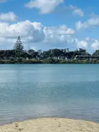 奧克蘭季節限定紫色藍花楹