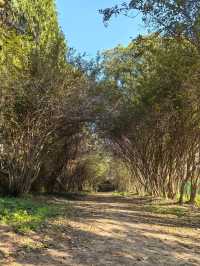 中山植物園就是靜奢風的天花板，閉眼入不虧！