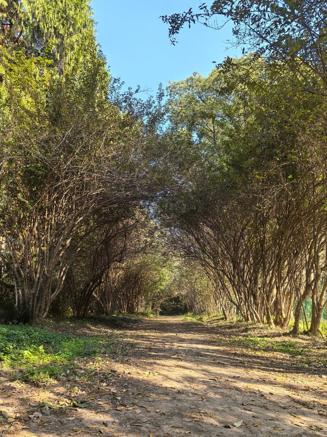 中山植物園就是靜奢風的天花板，閉眼入不虧！