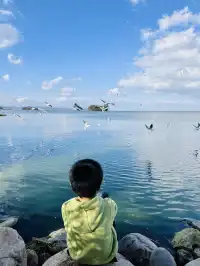 昆明週末|被海鷗和天空之境包圍超治癒