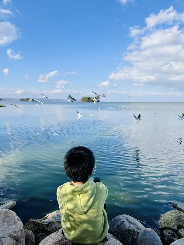 昆明週末|被海鷗和天空之境包圍超治癒