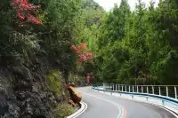 巫山龍脊看紅葉｜懶人零難度路線