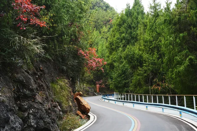 巫山龍脊看紅葉｜懶人零難度路線