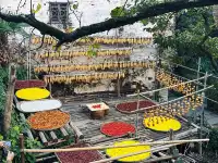 婺源篁嶺🪐曬秋旺季避開人群指南