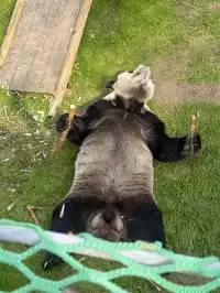 欒川不止老君山