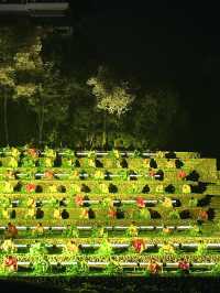 武夷山《印象大紅袍》攻略360°山水實景藏茶香浪漫