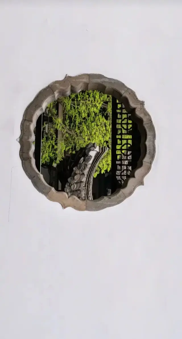 The Best Spot for Tree Shadow Photos Through the Window — He Garden, Yangzhou