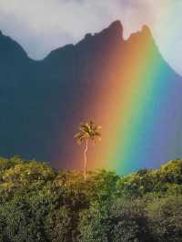 毛里裘斯9大必打卡點!來毛里裘斯必看~