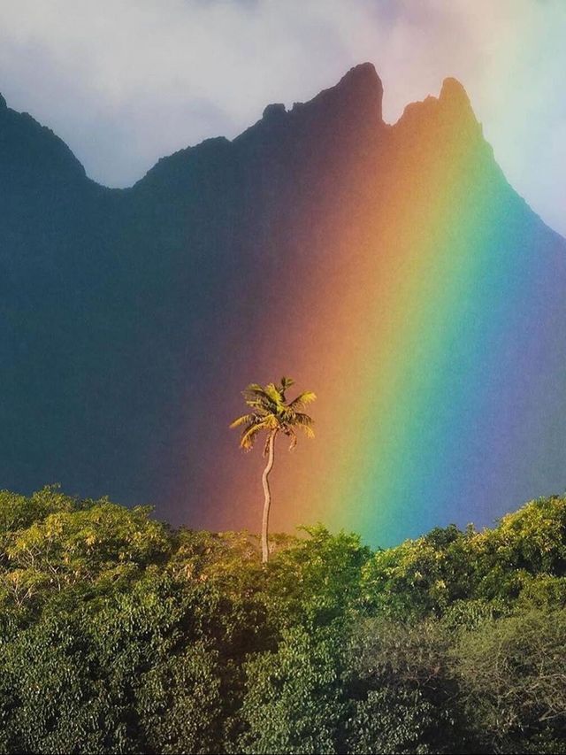 毛里裘斯9大必打卡點!來毛里裘斯必看~ 毛里裘斯9大必打卡點!來毛里裘斯必看~