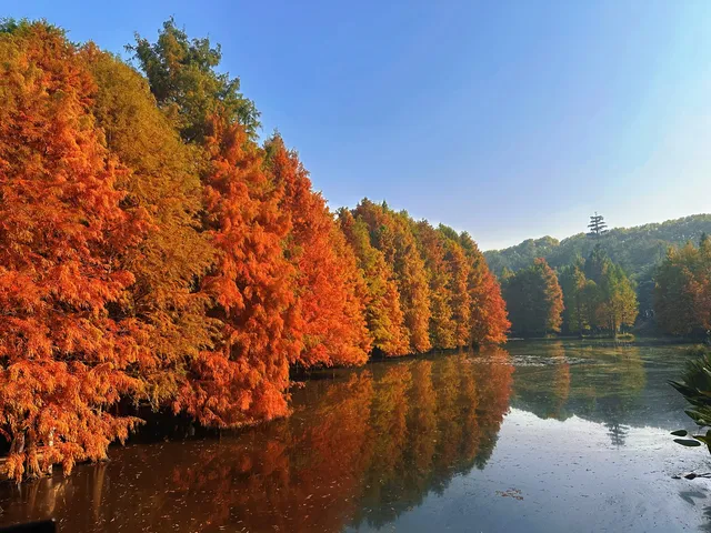 賞秋最美南京|鐘山風景區一天遊 賞秋最美南京|鐘山風景區一天遊