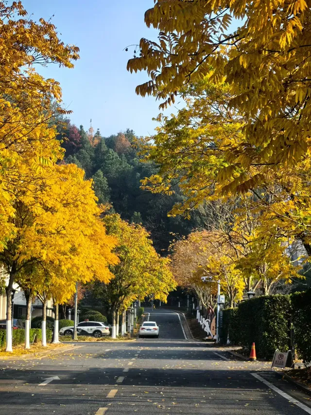 廣州—宜春用一個週末躲進秋日天堂