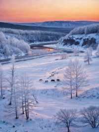 用18張Live打開呼倫貝爾的冬天!封神了!