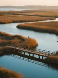星空帳篷裡學做小漁民!東灘濕地邊的自然營地