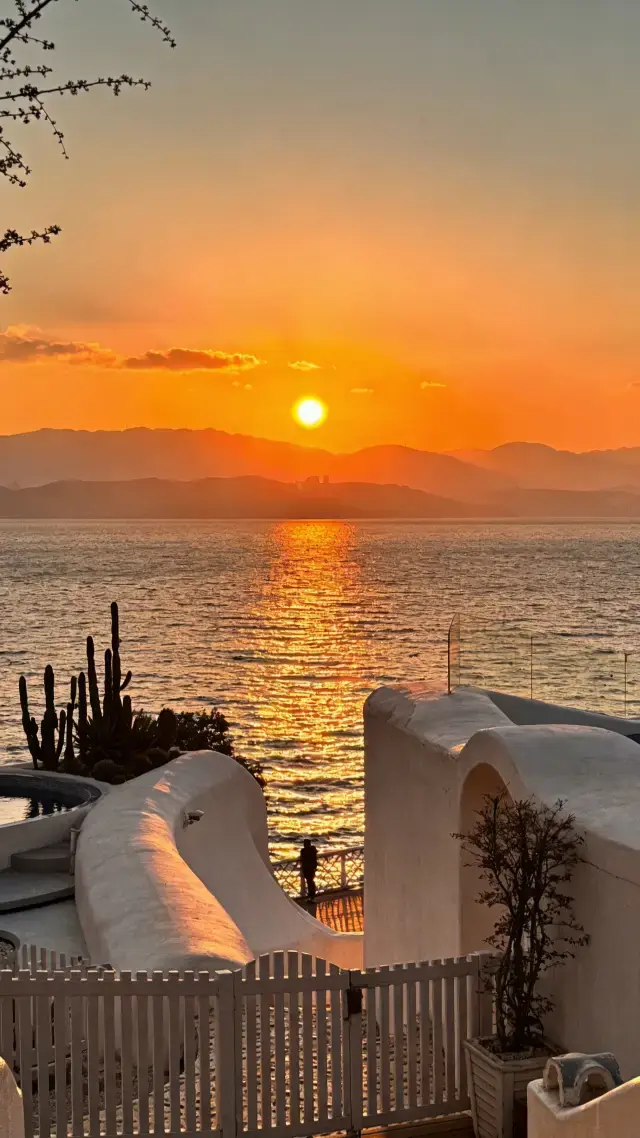 Instantly Captivated by the Most Beautiful Dali